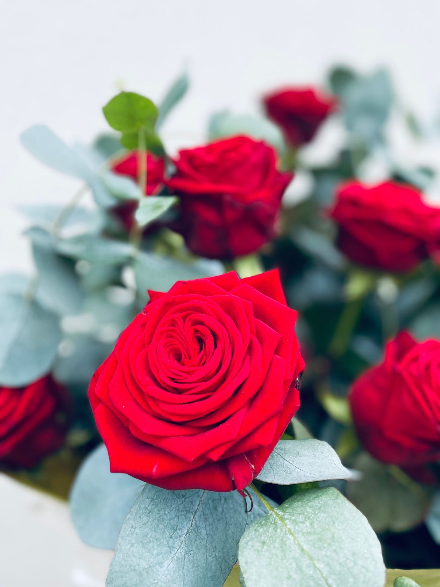 Rose Bouquet (20 Roses)